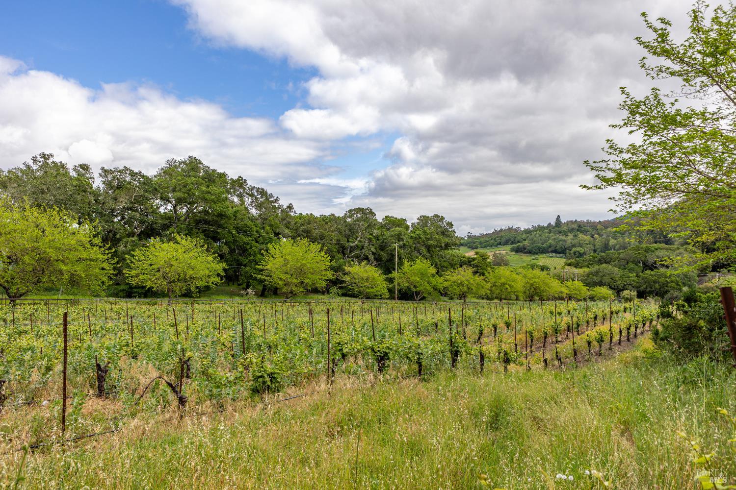 8325 Sonoma Mountain Road Glen Ellen CA 95442
