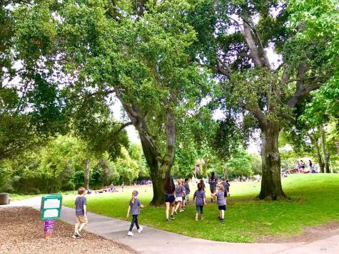 2594 Las Gallinas Avenue San Rafael CA 94903