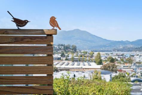 134-132 Filbert Avenue Sausalito CA 94965