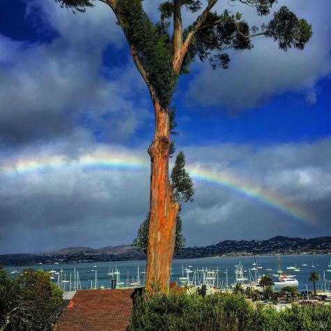 134-132 Filbert Avenue Sausalito CA 94965