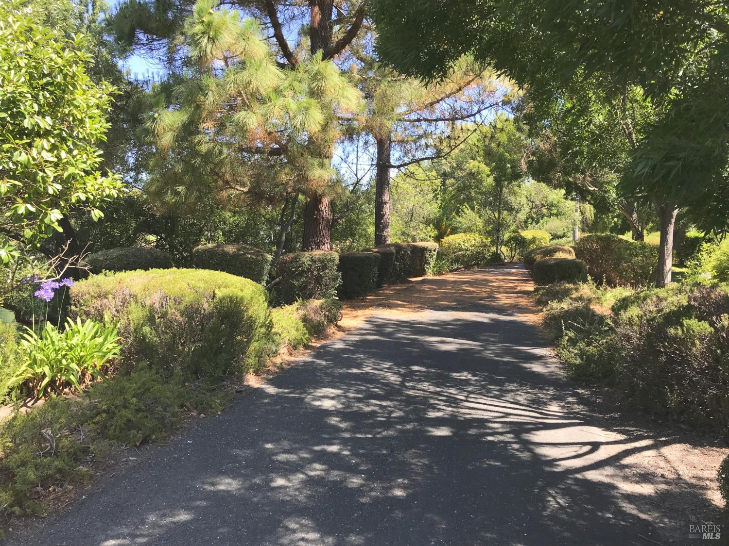 377 Avenida Barbera Sonoma CA 95476