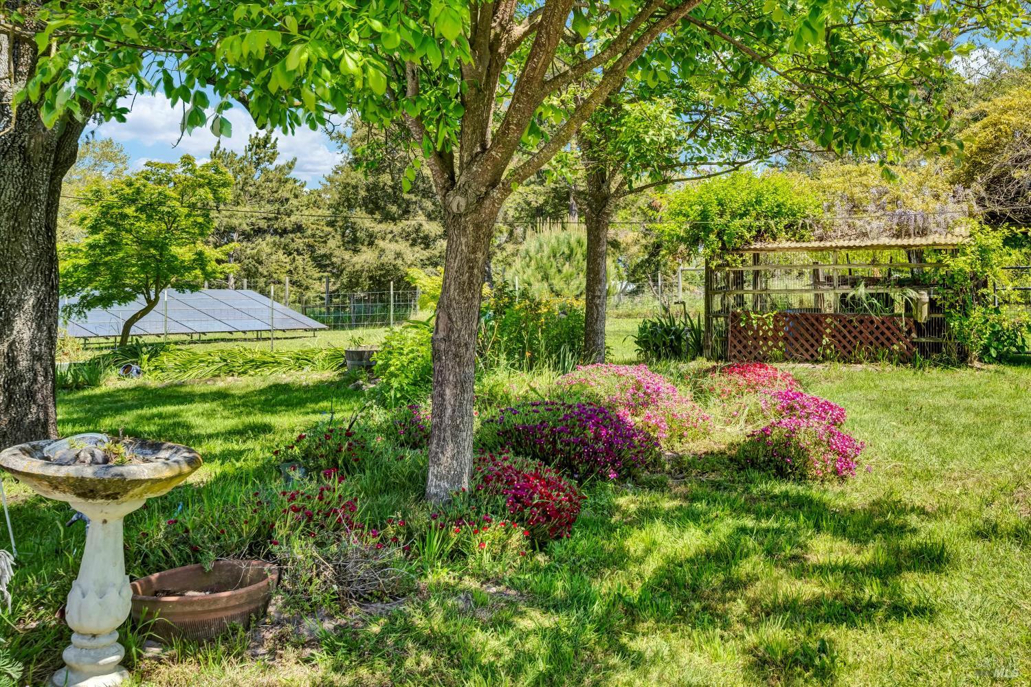 3234 Skillman Lane Petaluma CA 94952
