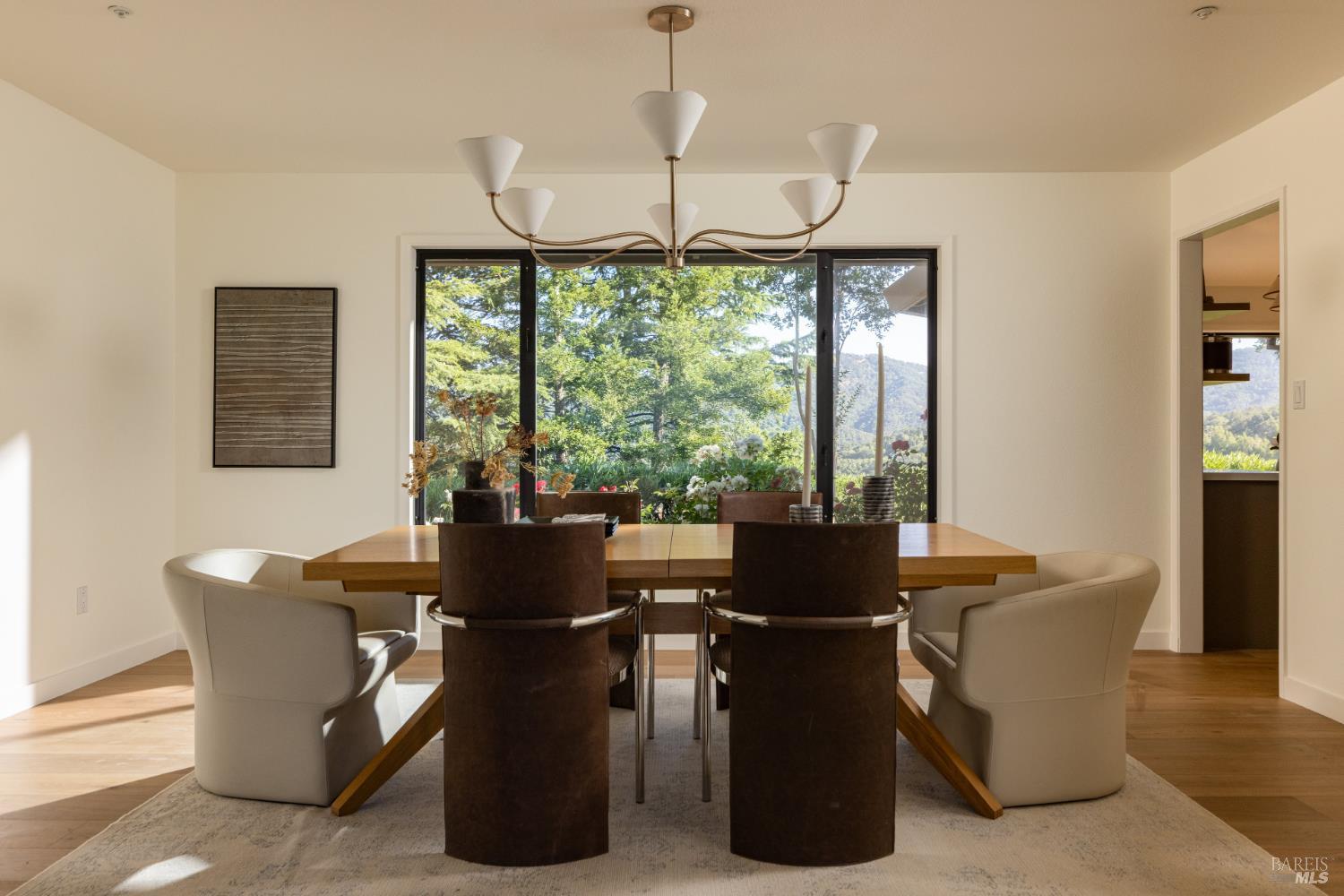 32 Oak View Court Novato CA 94947