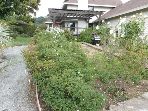 1223 Melissa Court Santa Rosa CA 95409