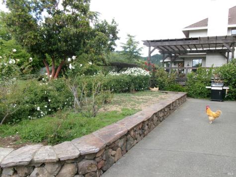 1223 Melissa Court Santa Rosa CA 95409