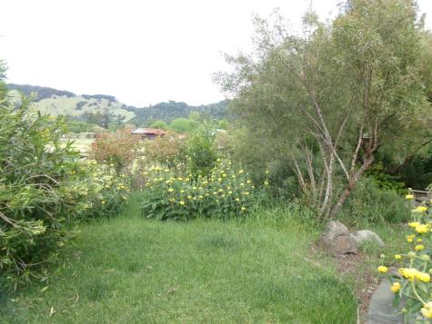 1223 Melissa Court Santa Rosa CA 95409