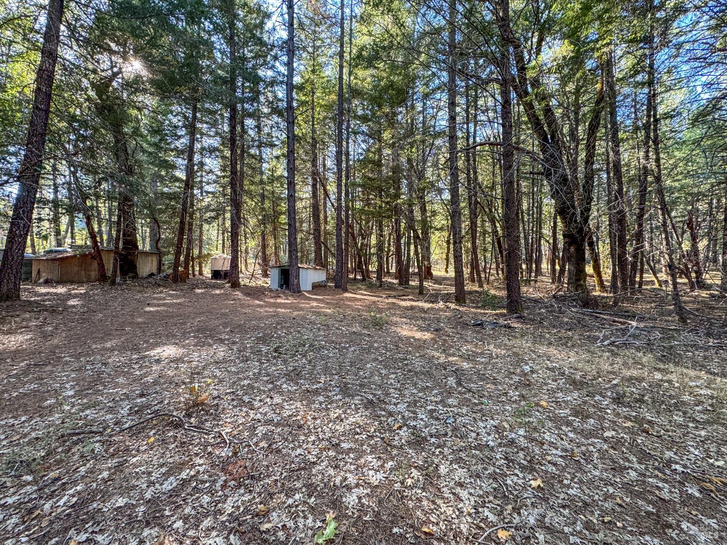 1141 Tenmile Creek Road Laytonville CA 95454