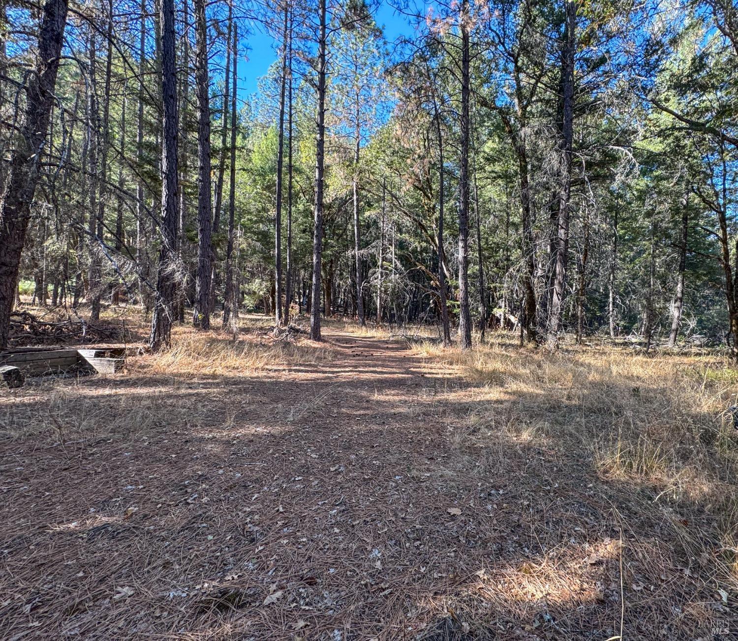 1141 Tenmile Creek Road Laytonville CA 95454