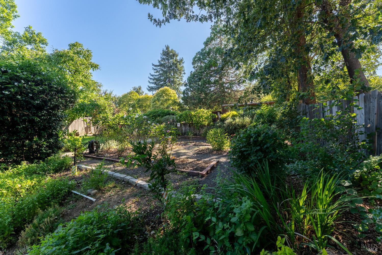 832 Alice Avenue Ukiah CA 95482
