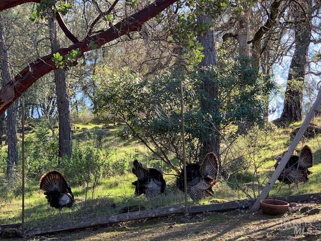 1021 Bridle Street Pope Valley CA 94567