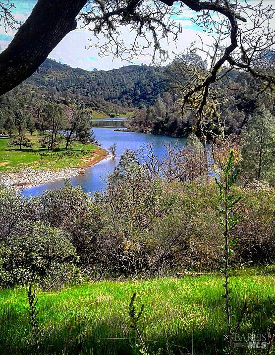 1021 Bridle Street Pope Valley CA 94567