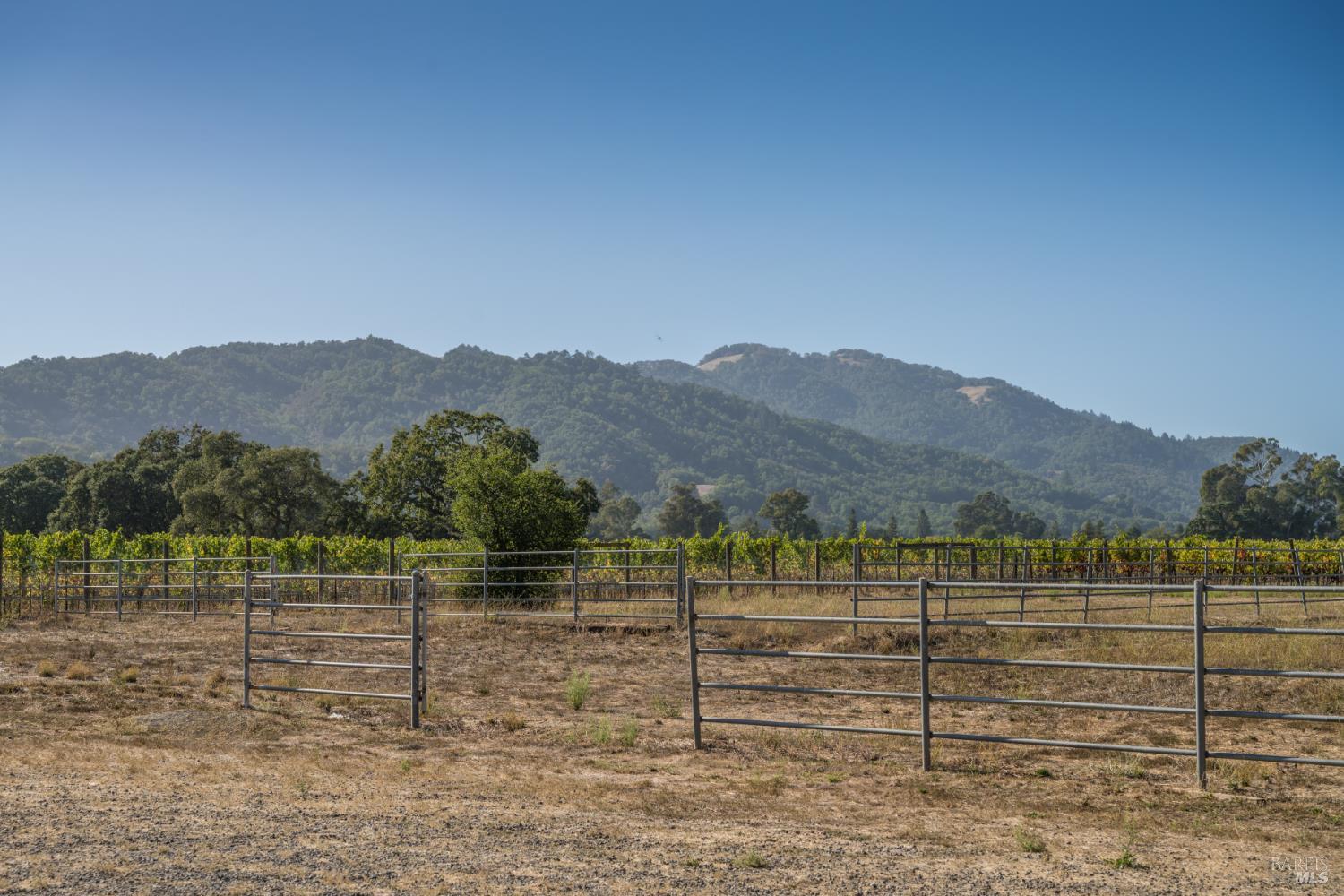1115 Craig Avenue Sonoma CA 95476