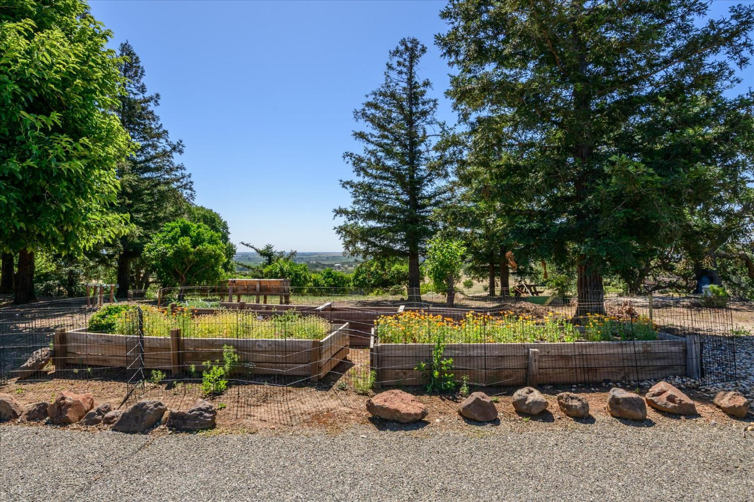 25837 County Road 34 Winters CA 95694