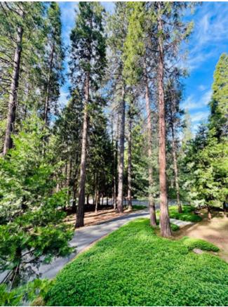27165 Barton Road Pioneer CA 95666