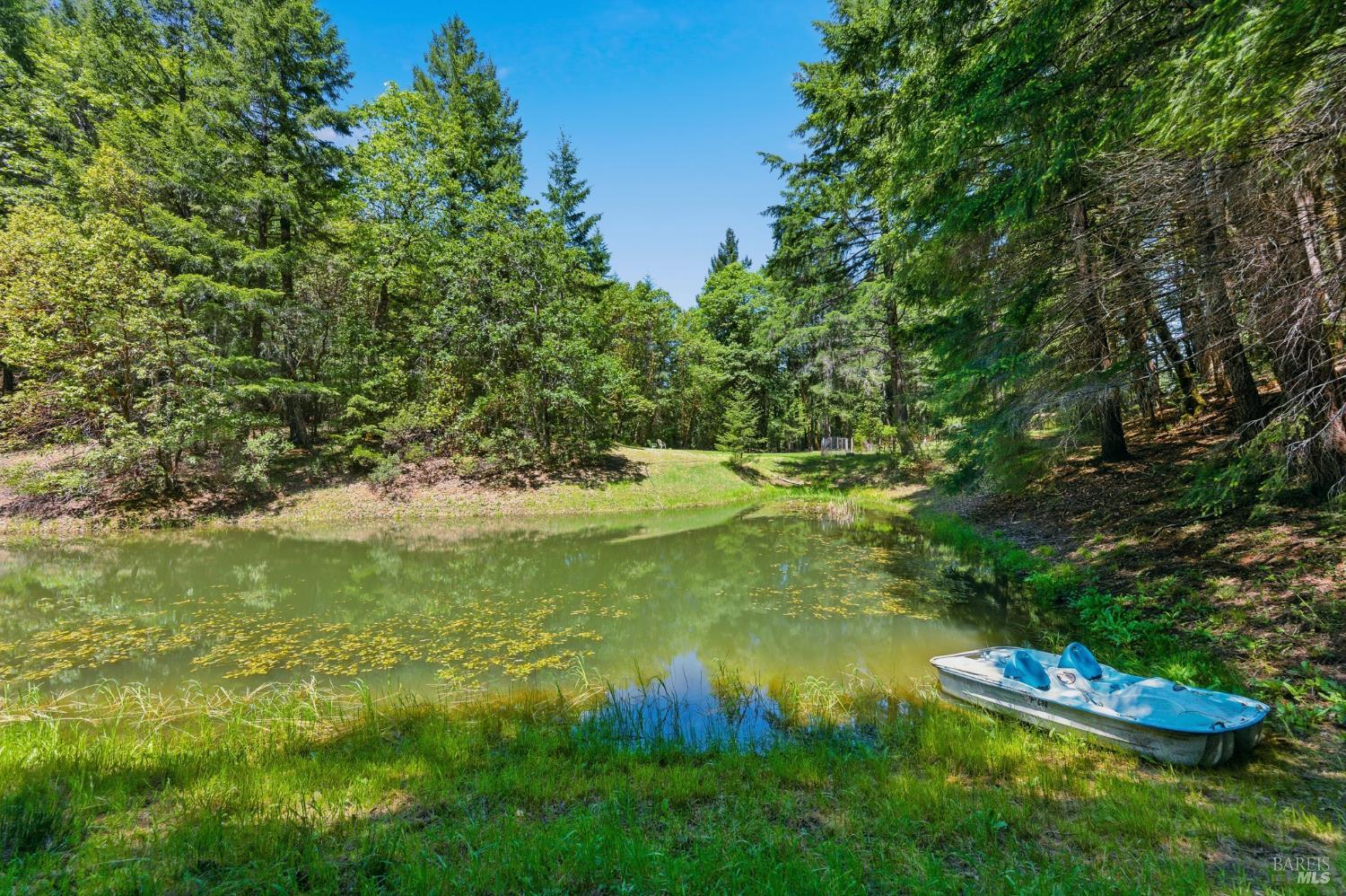 31300 Sherwood Road Willits CA 95490