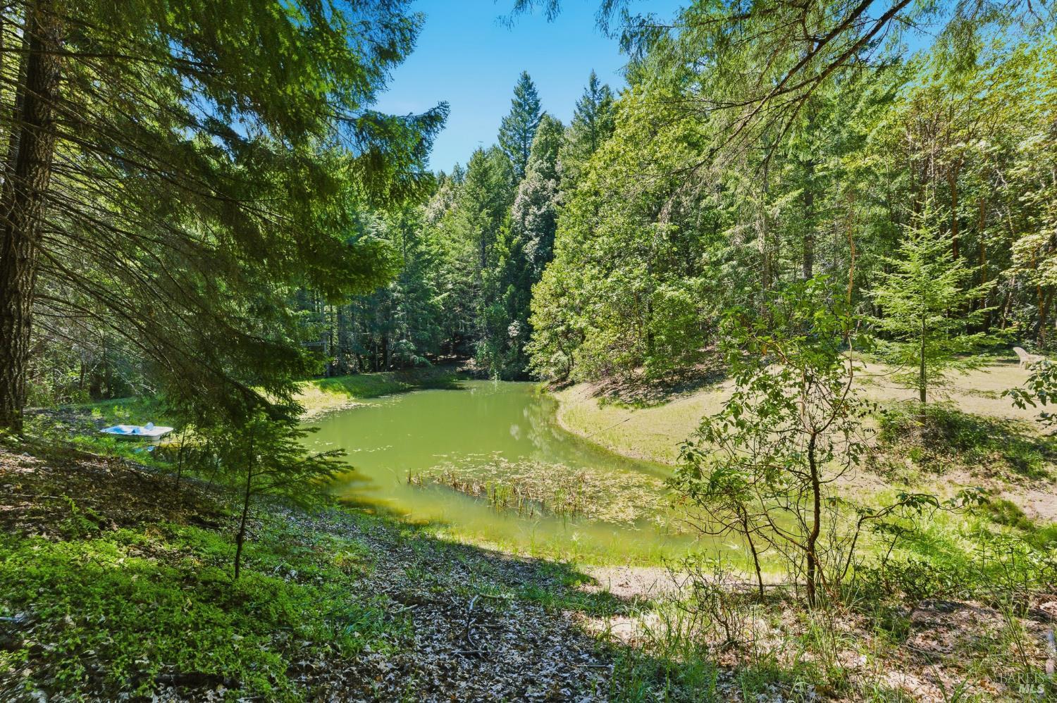 31300 Sherwood Road Willits CA 95490
