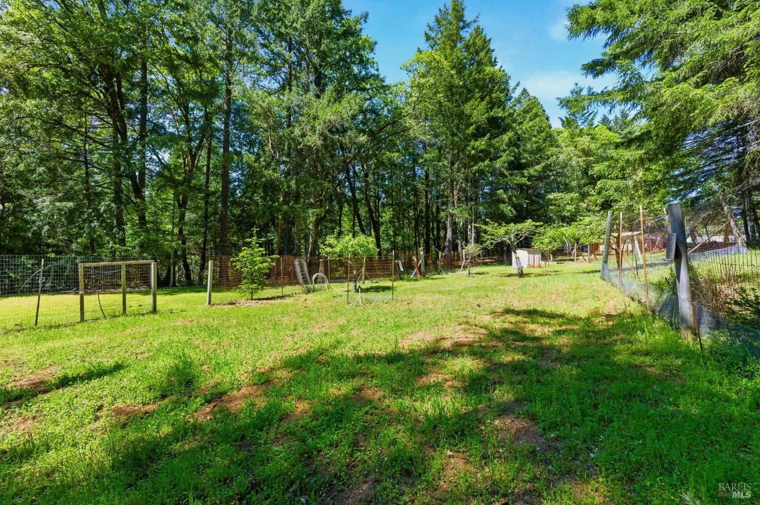 31300 Sherwood Road Willits CA 95490