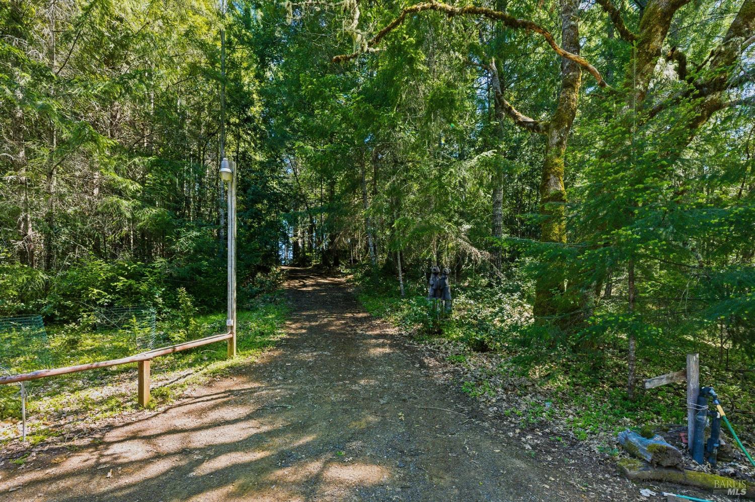 31300 Sherwood Road Willits CA 95490