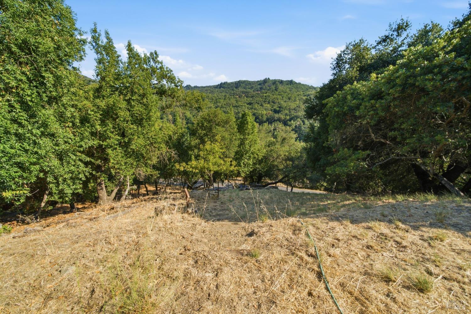 2031 Madrone Avenue Healdsburg CA 95448