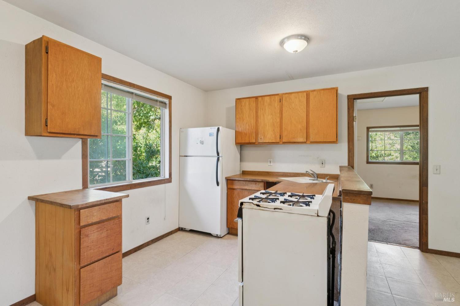 1221 Beattie Lane Sebastopol CA 95472