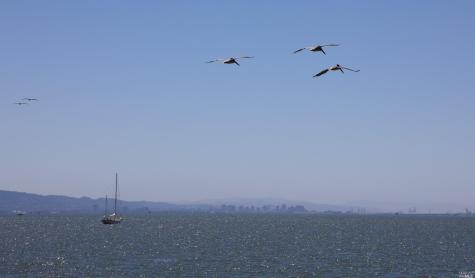 79 Saint Thomas Way Tiburon CA 94920