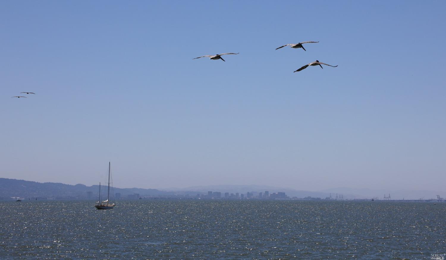 79 Saint Thomas Way Tiburon CA 94920