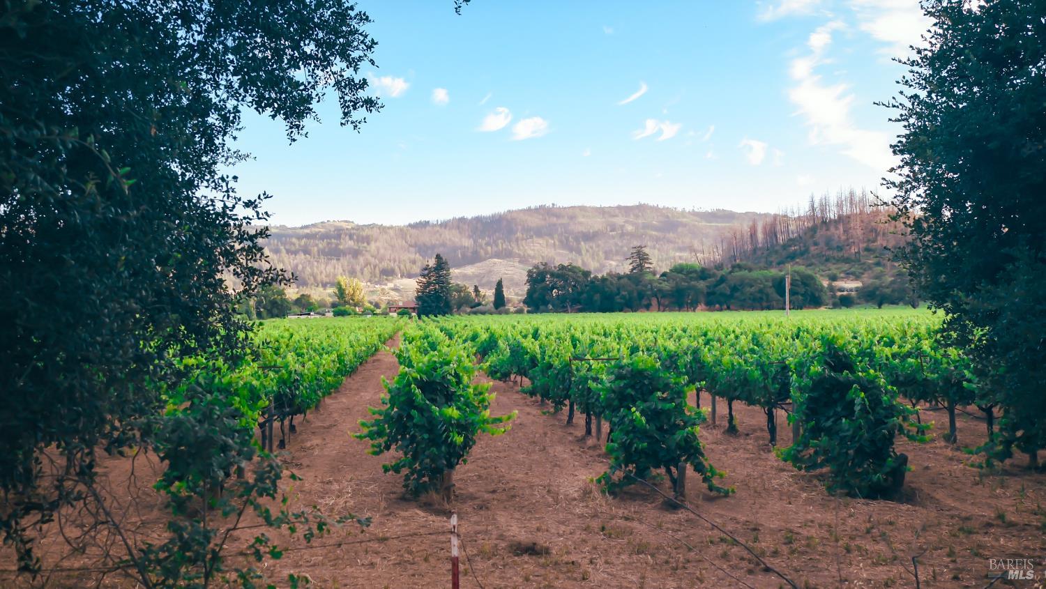 4405 Silverado Trail Calistoga CA 94515