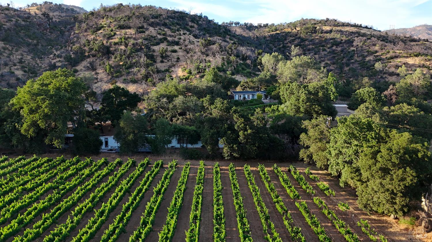 4405 Silverado Trail Calistoga CA 94515