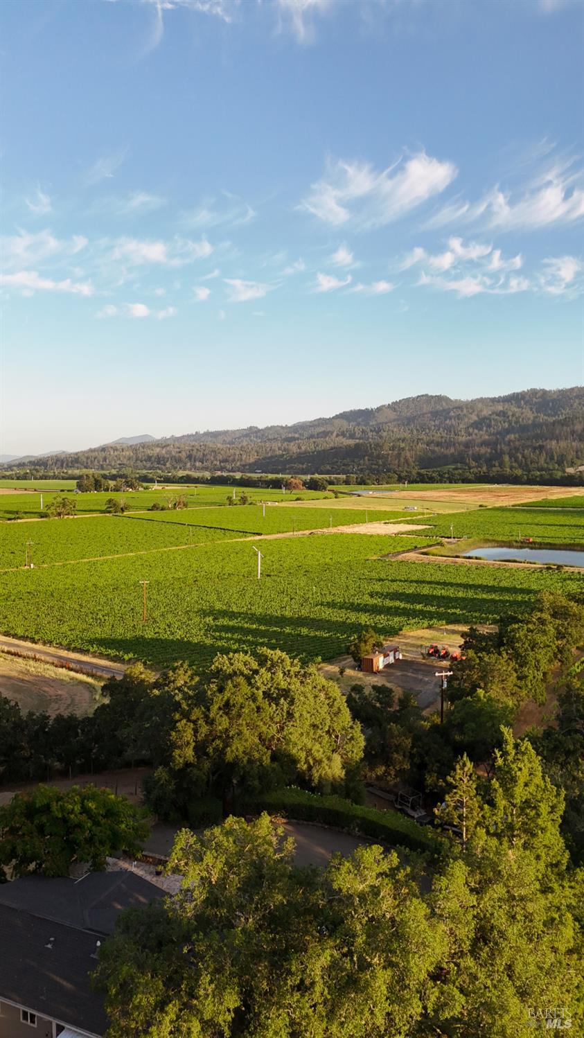 4405 Silverado Trail Calistoga CA 94515
