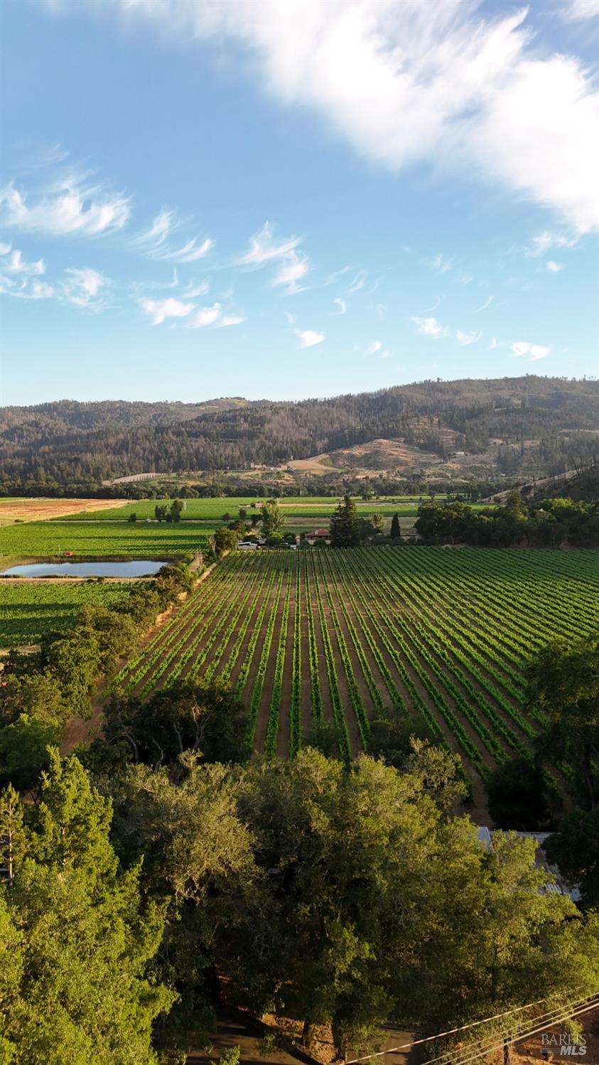 4405 Silverado Trail Calistoga CA 94515