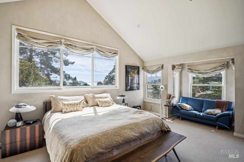 76 Bay Vista Drive Mill Valley CA 94941