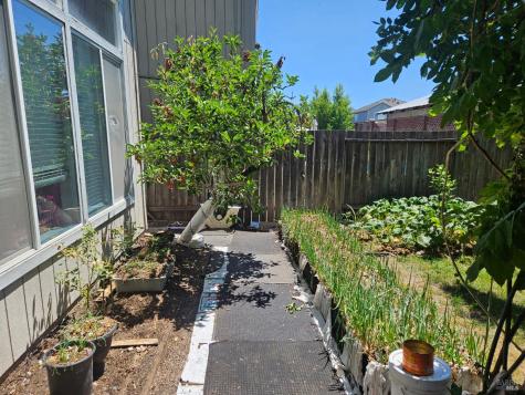 3258 Boron Avenue Santa Rosa CA 95407