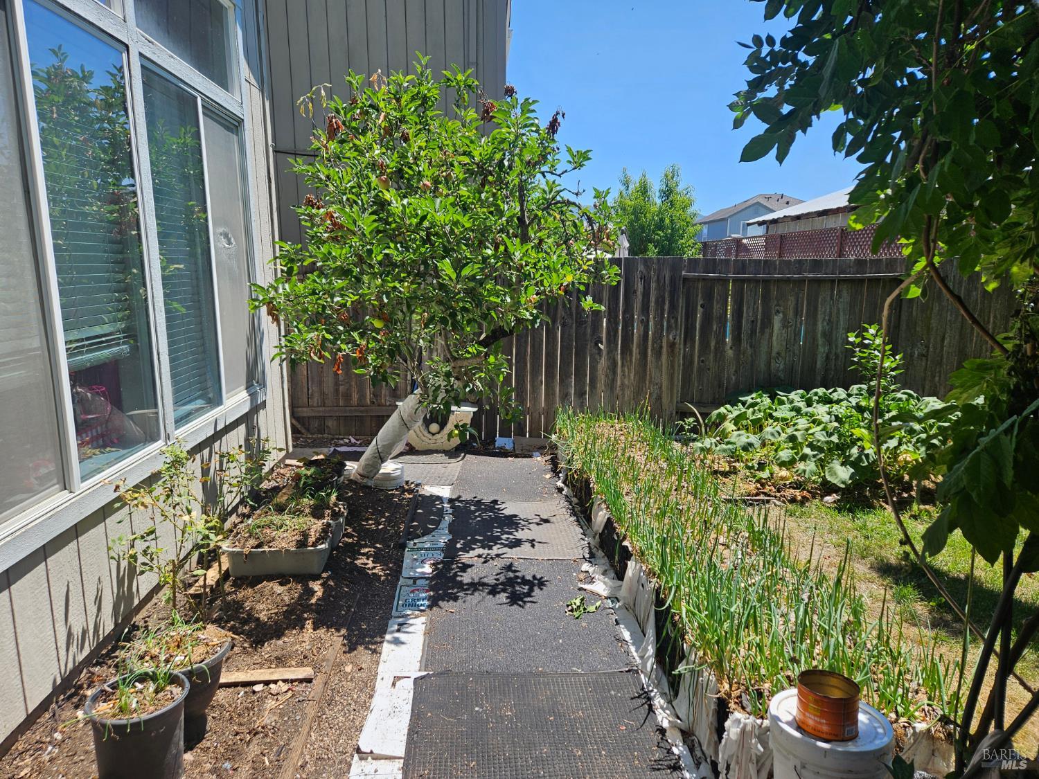 3258 Boron Avenue Santa Rosa CA 95407
