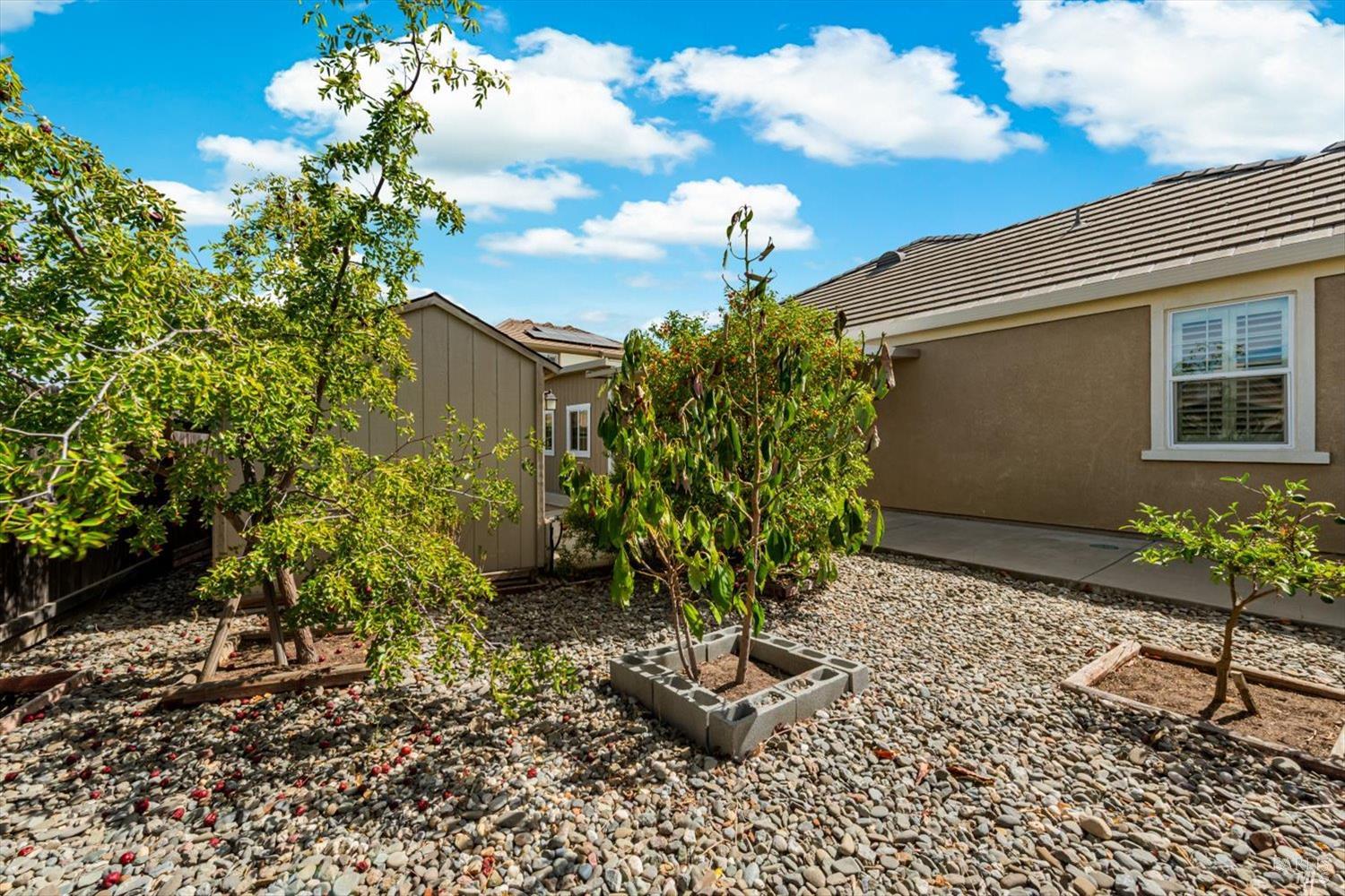 137 Clematis Street Vacaville CA 95687