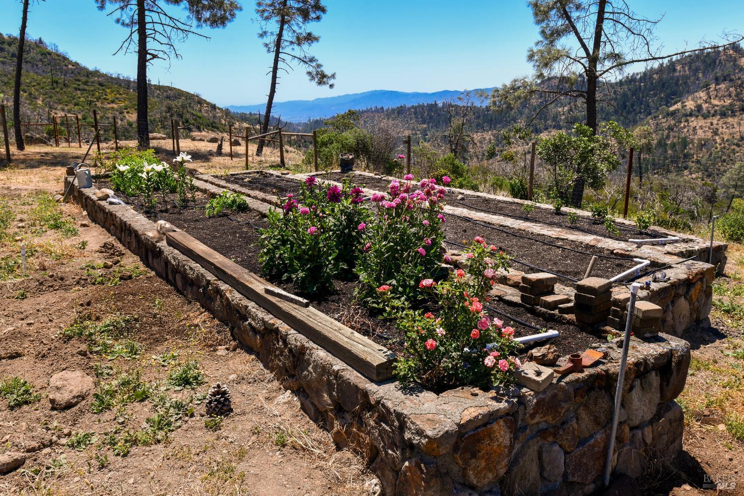 3335 Friesen Drive Angwin CA 94508