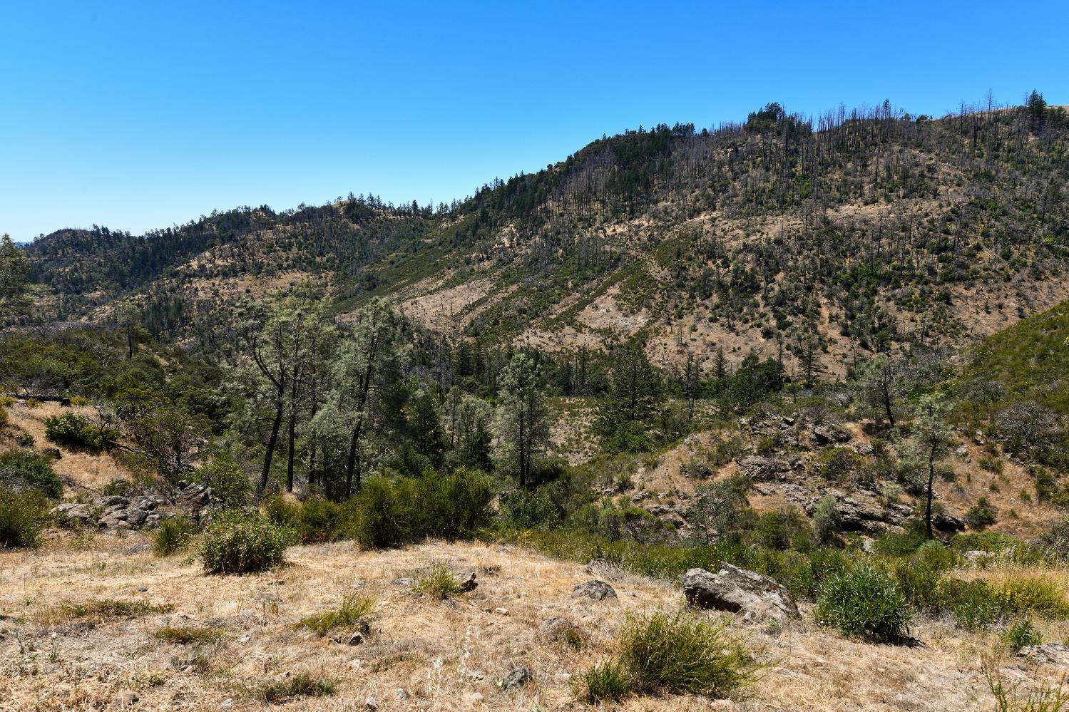 3335 Friesen Drive Angwin CA 94508