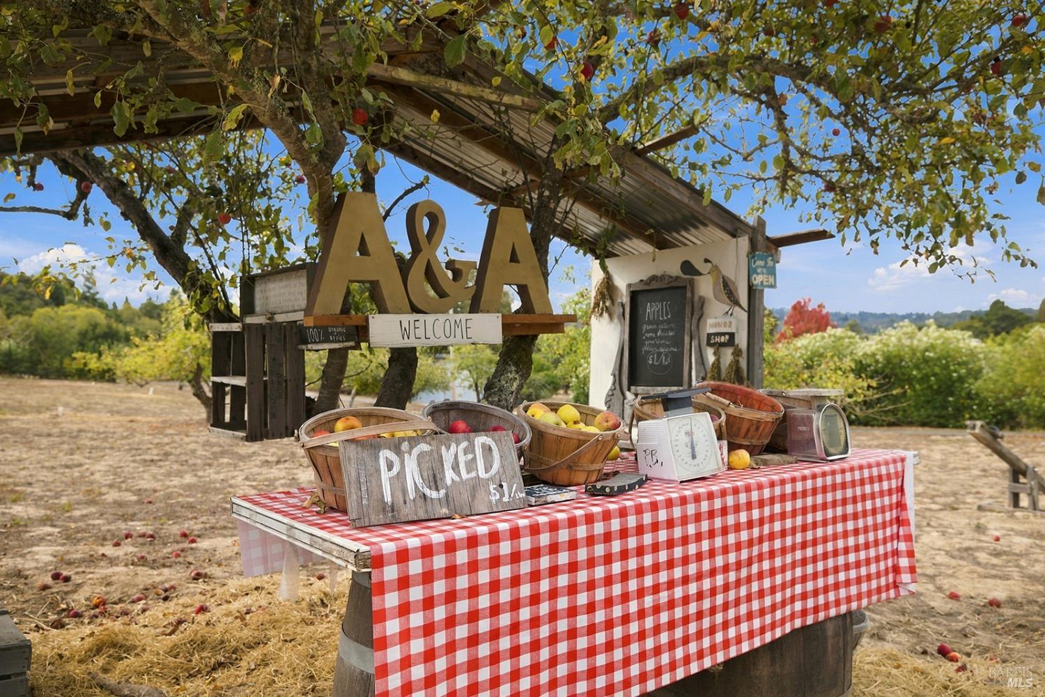 8341 Blackney Road Sebastopol CA 95472
