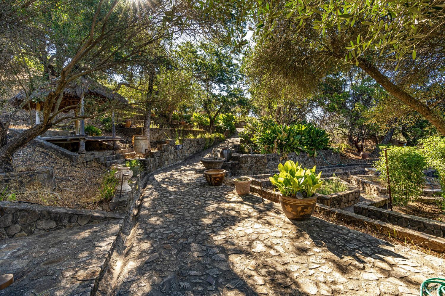 2900 Spring Mountain Road St. Helena CA 94574