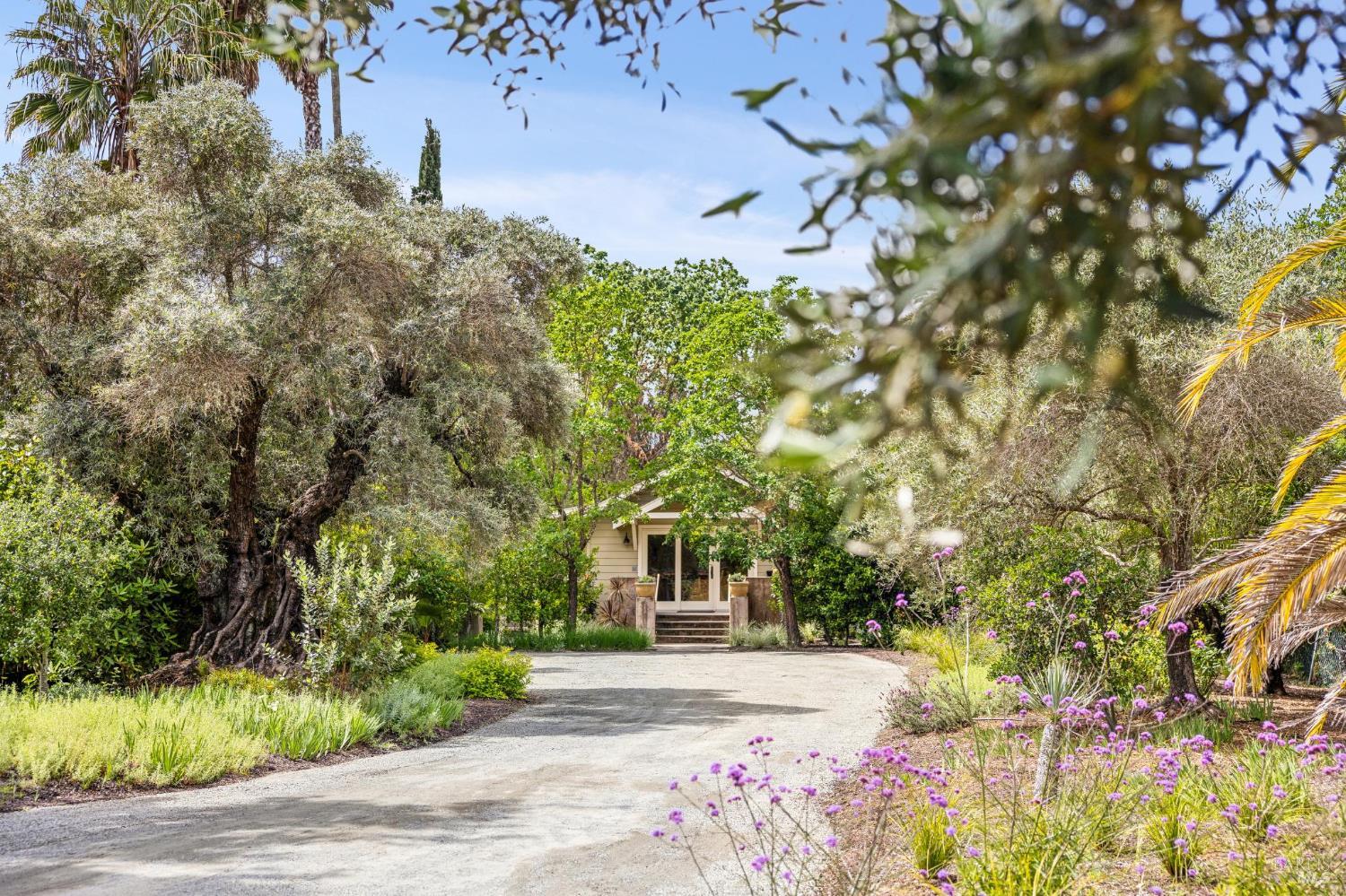 3055 Myrtledale Road Calistoga CA 94515