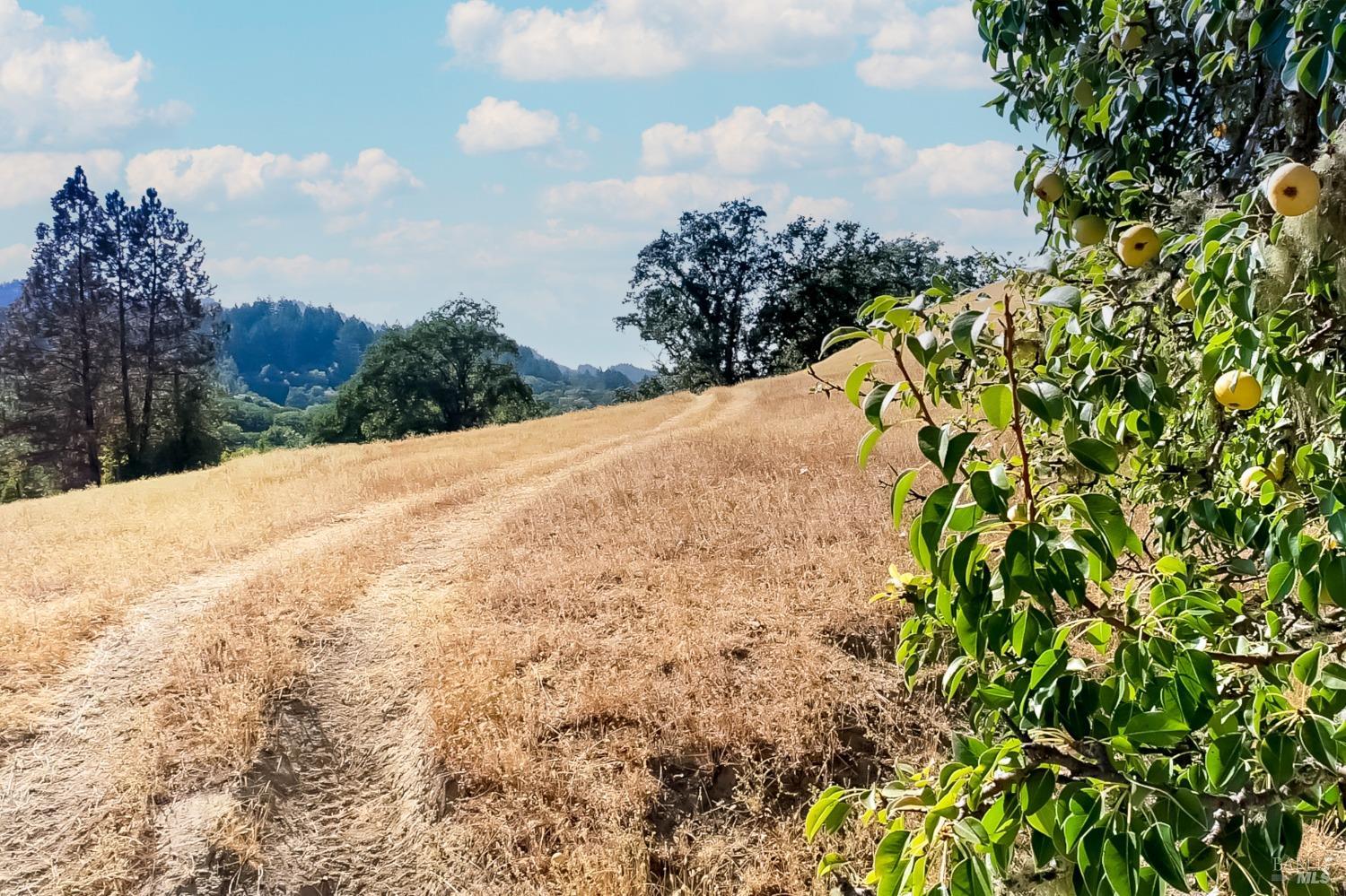 18300 Walker Road Willits CA 95490