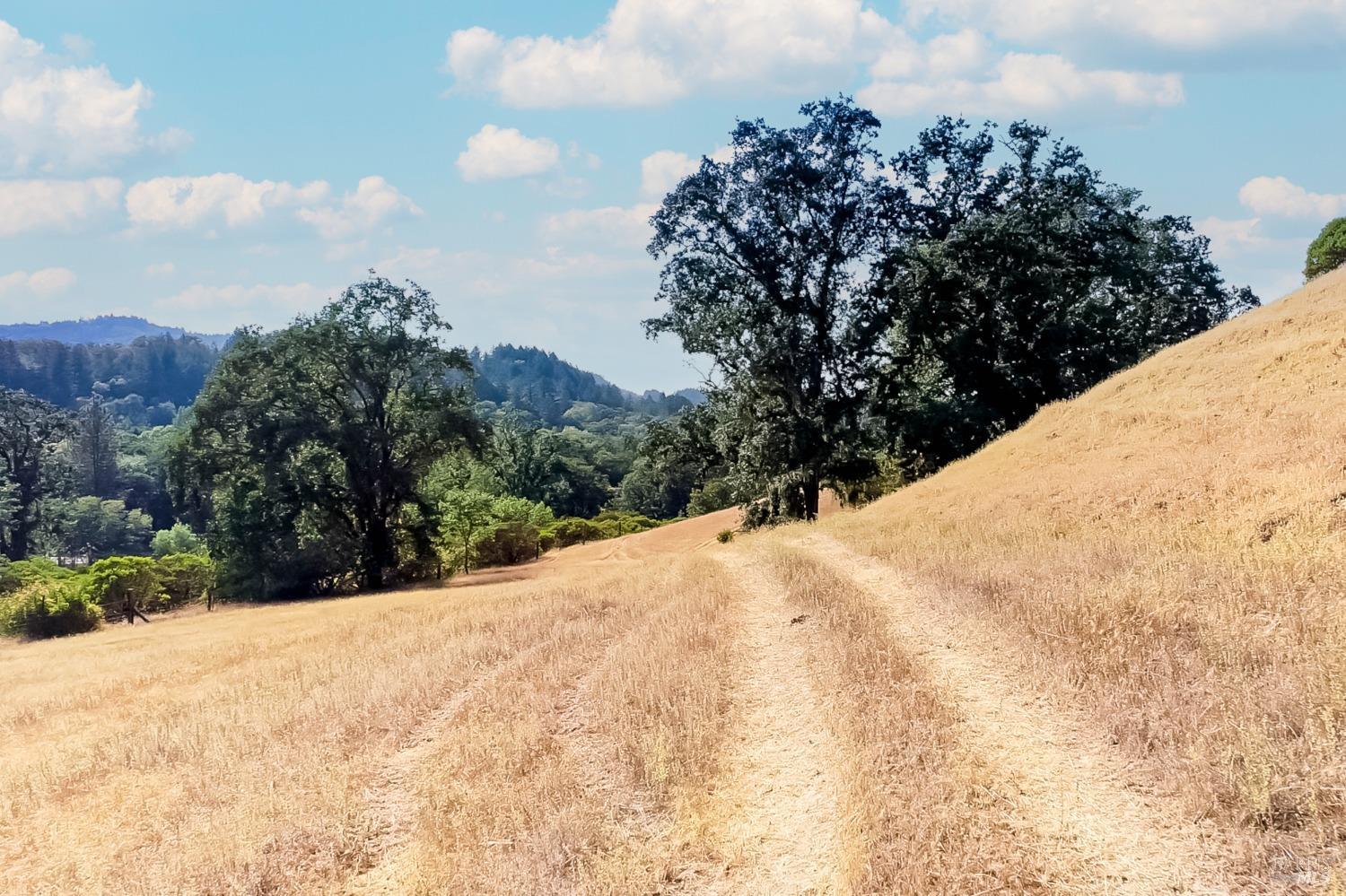 18300 Walker Road Willits CA 95490