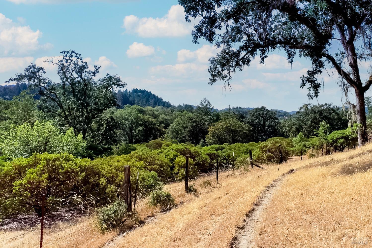 18300 Walker Road Willits CA 95490