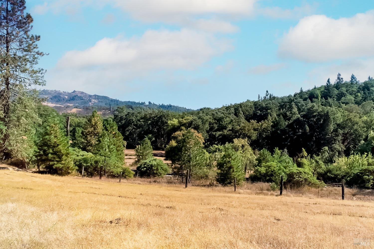 18300 Walker Road Willits CA 95490