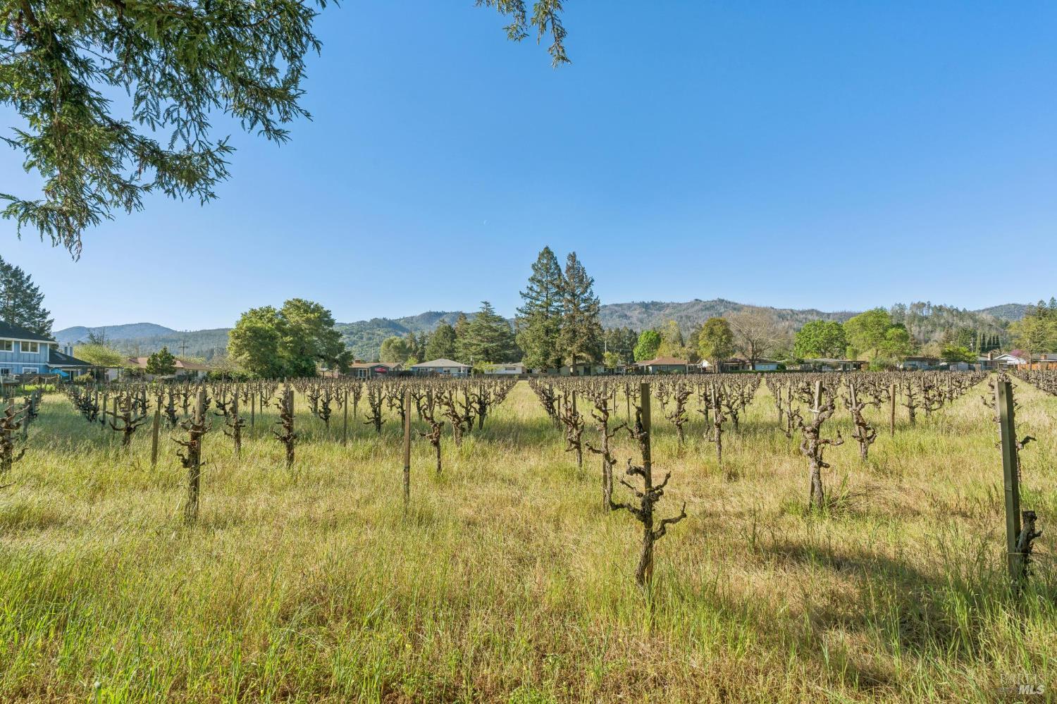 1143 Hudson Avenue St. Helena CA 94574