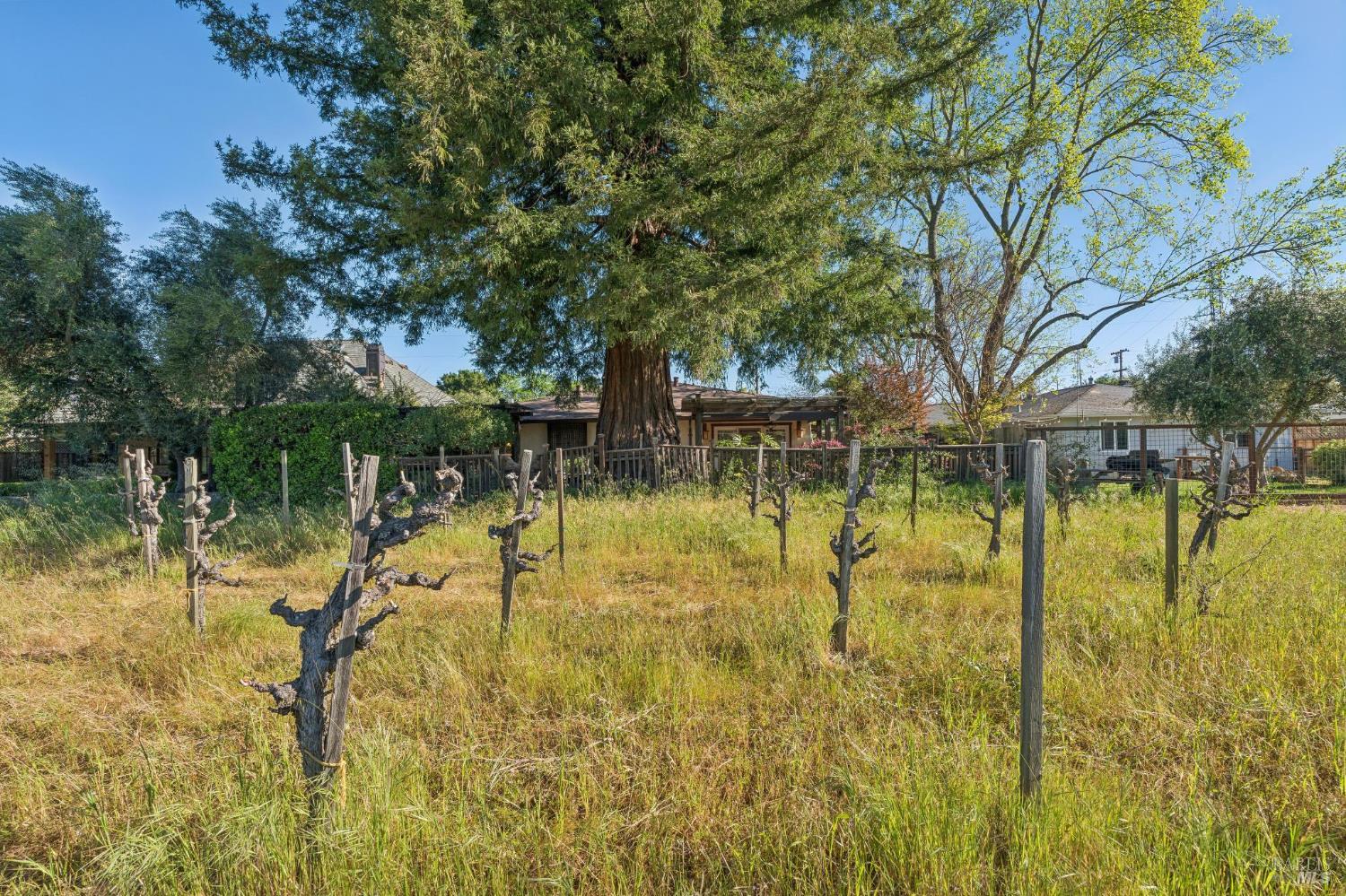 1143 Hudson Avenue St. Helena CA 94574