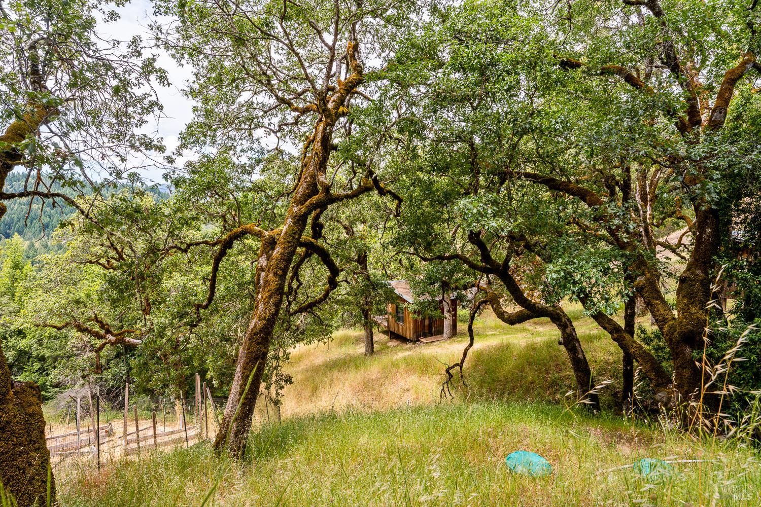 18700 Scenic Drive Redwood Valley CA 95470