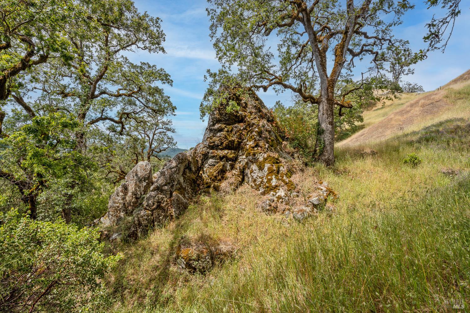 18700 Scenic Drive Redwood Valley CA 95470