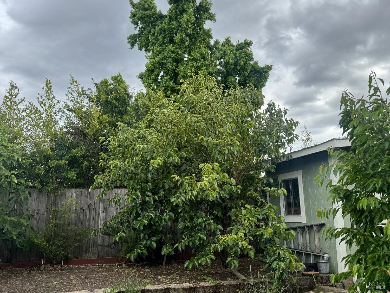 255 Burlington Drive Ukiah CA 95482
