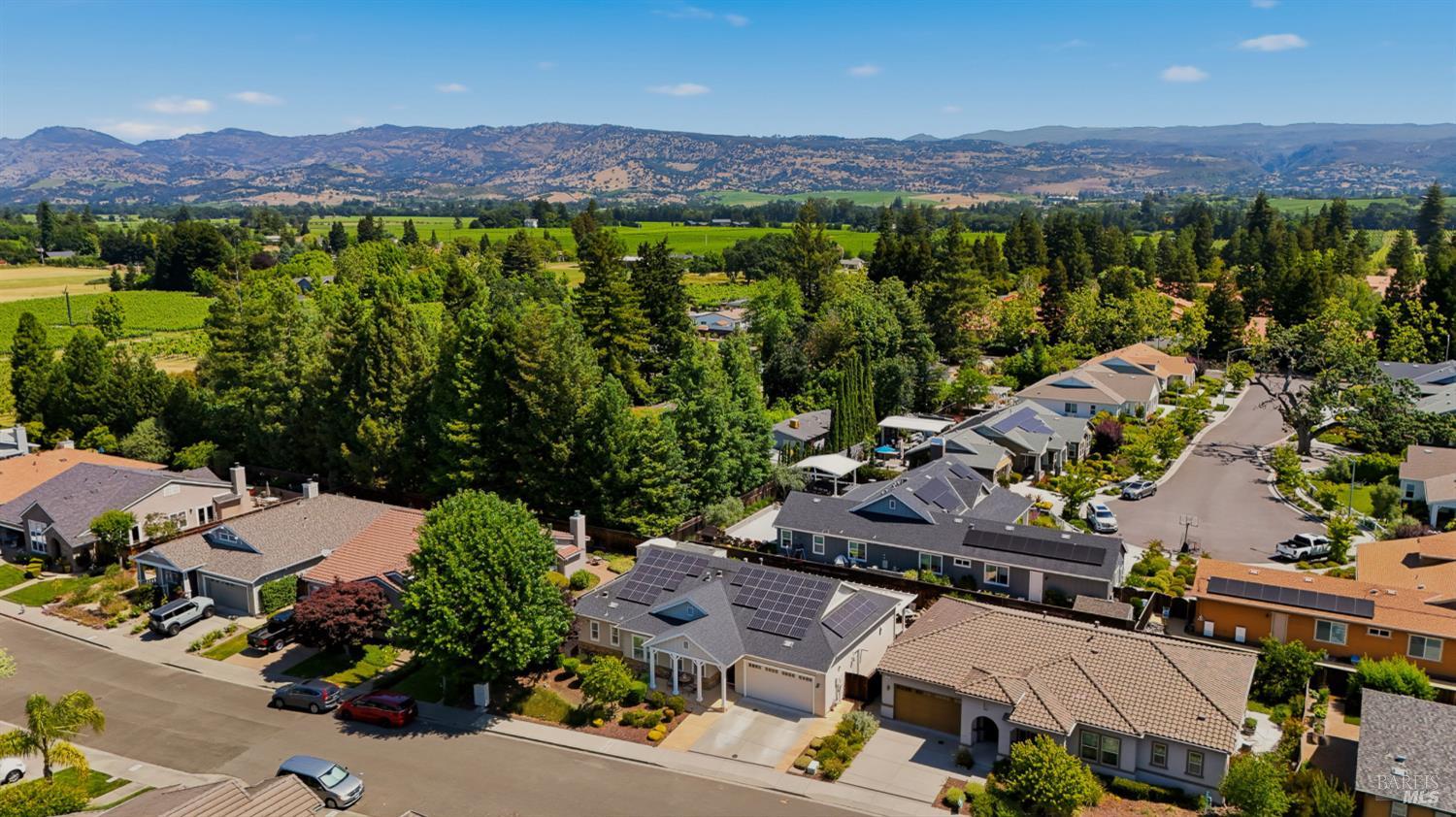 124 Old Vine Way Napa CA 94558