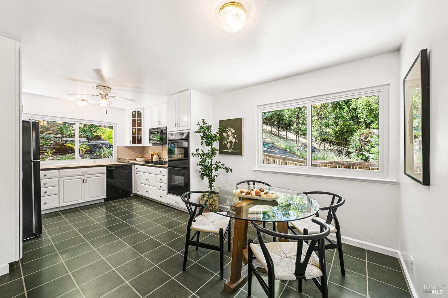 501 Willow Court Novato CA 94945
